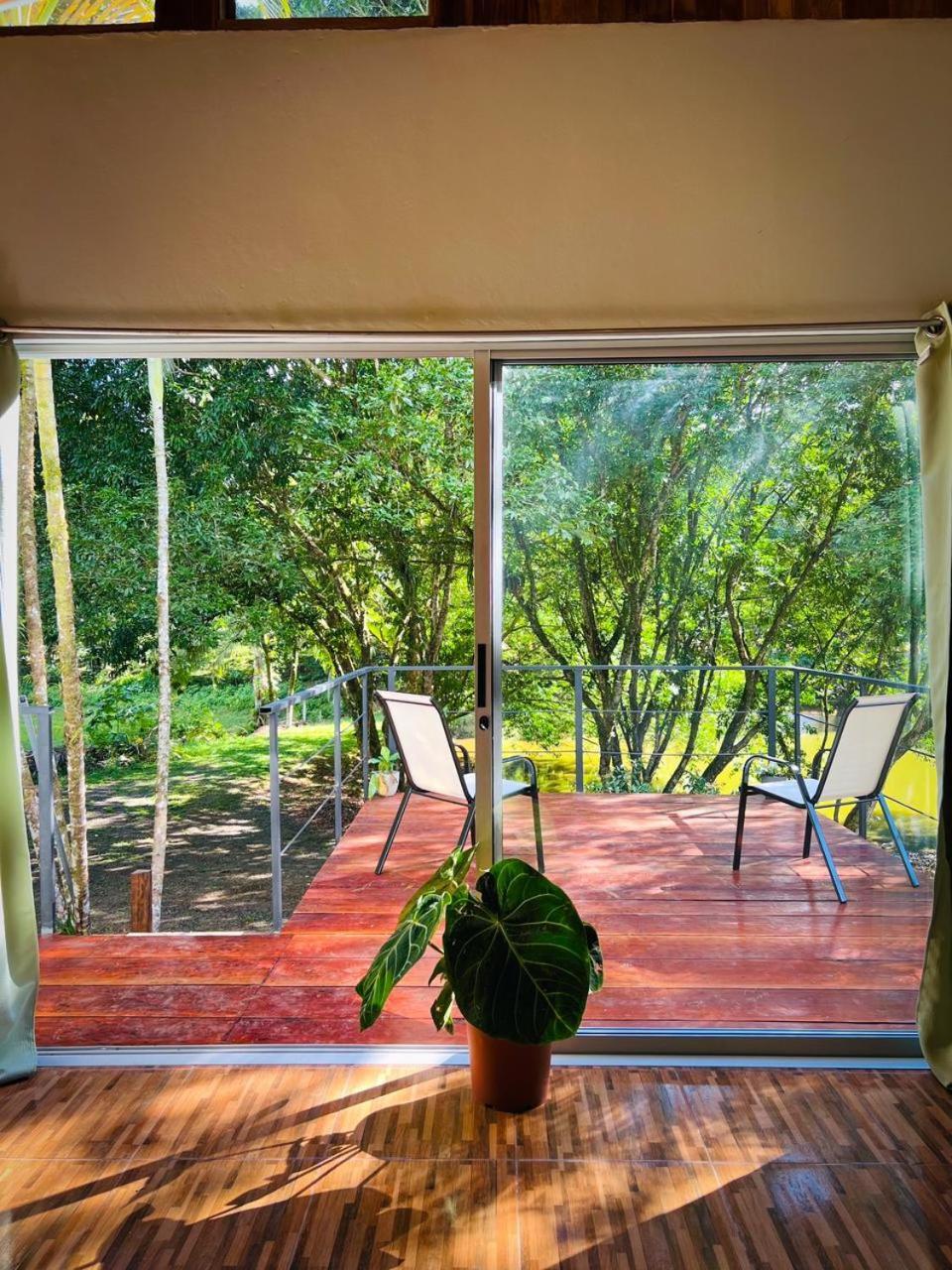 Ficus House Apartment Boca Tapada Exterior photo