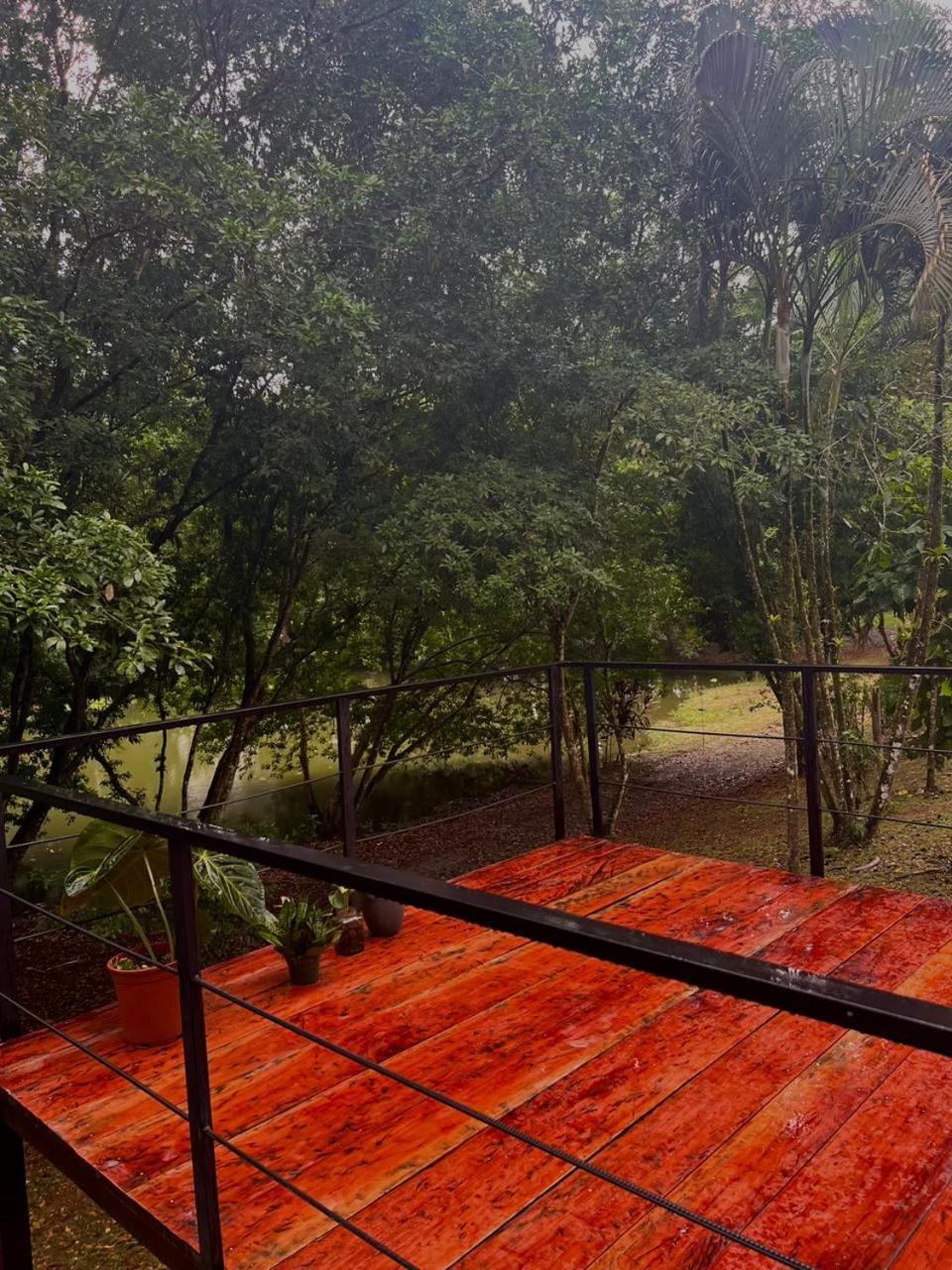 Ficus House Apartment Boca Tapada Exterior photo